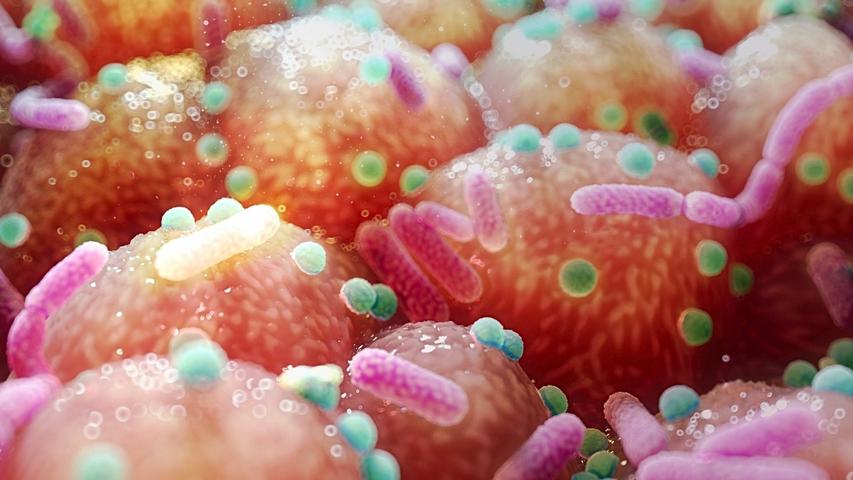 Your Tummy Bugs and a Sneaky Disease