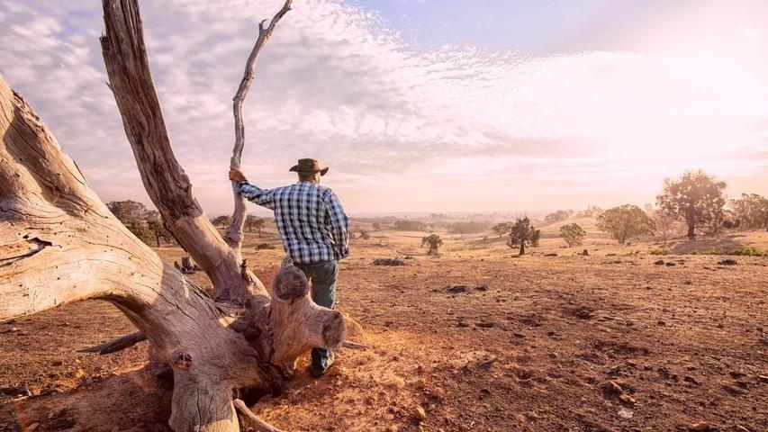 Dry Weather Helps Super Bugs Get Stronger