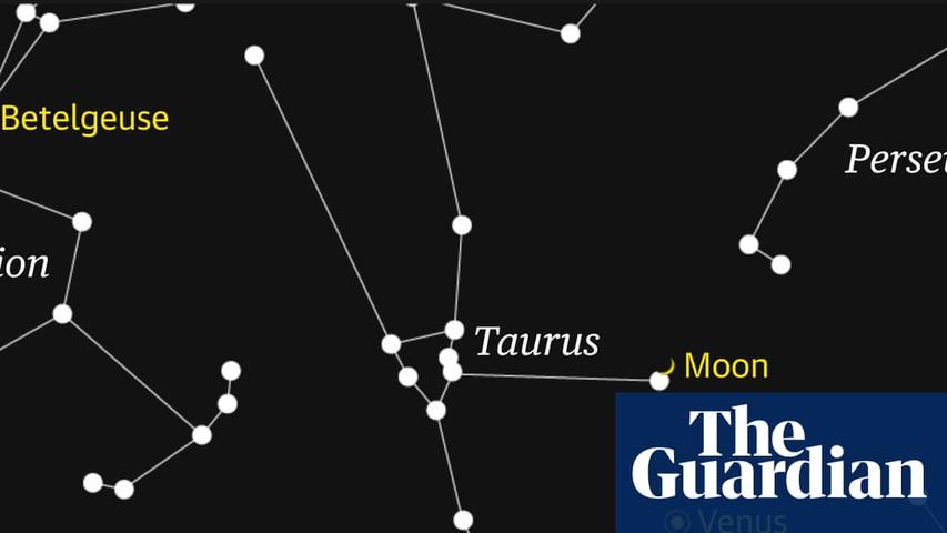 Sparkly Venus and the New Moon Friends